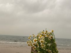 -青岛金沙滩