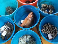 -蓝湾碧波·老字号·疍家非遗海上餐厅