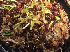 -老板恋上鱼(恒隆广场店)