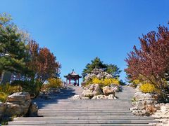 -大兴滨河森林公园