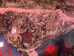 -沈阳海洋探索中心