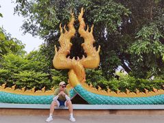 -西双版纳勐泐文化旅游区