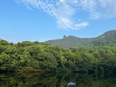 -杭州半山国家森林公园