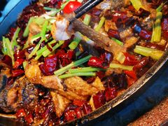 -老板恋上鱼(恒隆广场店)