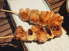 鸡腿肉-TINY