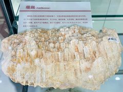 -中国第四纪冰川遗迹陈列馆