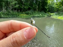 -桤木河湿地公园