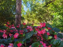 -长春市南湖公园