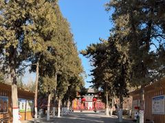 -太原动物园
