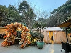 -龙猫意杯花园餐厅(芙蓉湖店)