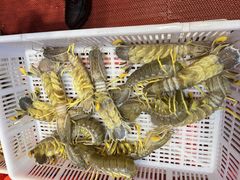 -吴记富苑(朝阳店)