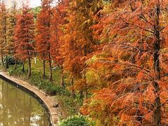 -怡海公园(桂城街道)