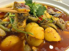 -高坎一品甲鱼庄(两河店)