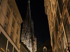 -斯蒂芬主教座堂(Stephansdom)