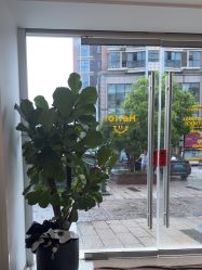 -WENDY·温迪皮肤管理