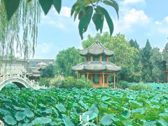 -莲池书院博物馆