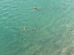 -水濂山森林公园