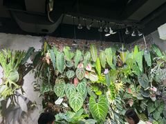 -成都市活水公园