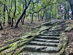 -大伊山景区