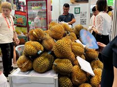 -南宁国际会展中心