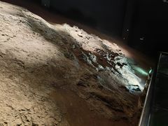 -世界恐龙谷景区