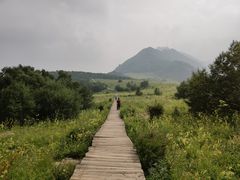 -白草畔自然风景区