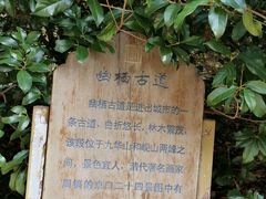 -南山风景名胜区