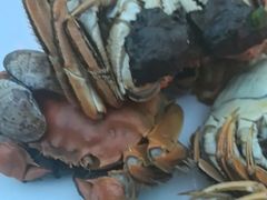 -宴悦海鲜餐厅Driftwood·游水海鲜·牛排(亚龙湾瑞吉店)
