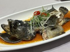 -紫阳富豪大酒店(惠南店)