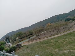 -龙寺生态园