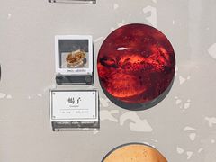 -辽宁古生物博物馆