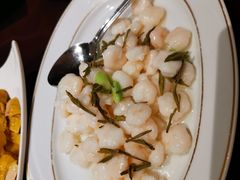 太湖碧绿河虾仁-上海金陵紫金山大酒店·汇海餐厅