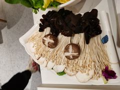 菌菇拼盘-牛焱·贵州黄牛肉火锅(城西银泰店)