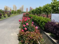 -菊园百果园