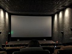 -星轶STARX影城(星沙吾悦广场STARX店)