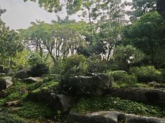 -东莞植物园