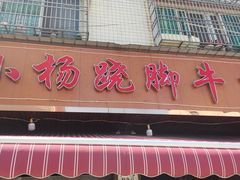 -小杨翘脚牛肉