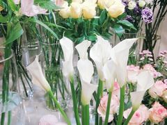 -花未央花店·WEYOUNG