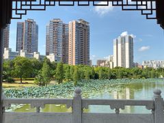 -飞来湖湿地公园