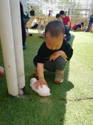 -萌宠亲子动物乐园(槐房万达店)