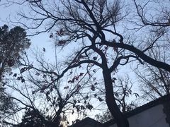 -北京鹫峰国家森林公园