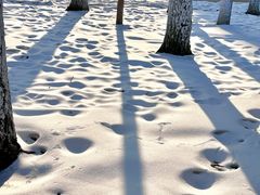 -哈尔滨中央大街华特酒店