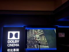 -万达影城(闵行颛桥万达广场杜比影院店)