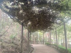 -泉州海丝野生动物世界