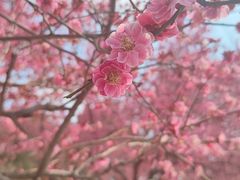 -南京市江宁方山