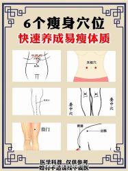 -Fundi张玉珊修身堂·indiba·BTL科技瘦身