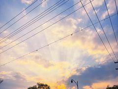 -三圣花乡旅游区