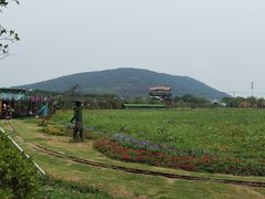 -苏州太湖西山岛开心农场