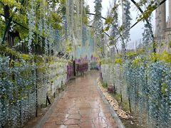 -郑州银基黄帝宫御温泉