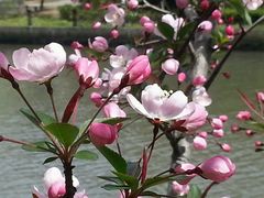 android_upload_pic-苏州河梦清园环保主题公园